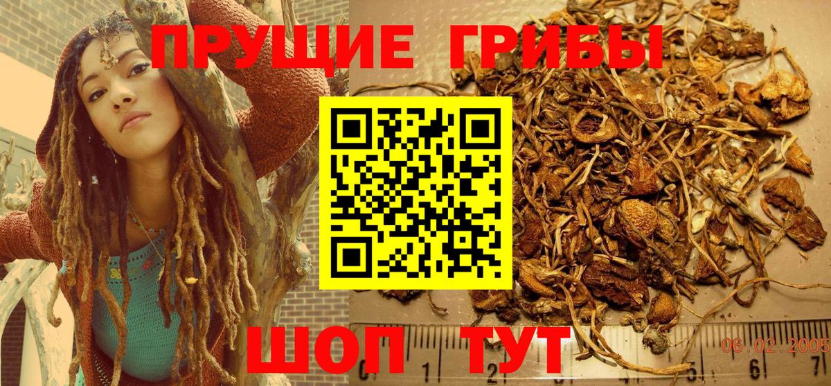Галлюциногенные грибы Psilocybe  Вход с VPN  Псилоцибиновые грибы Psilocybine cubensis  Арзамас 